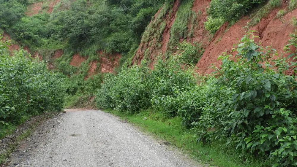 Camino Lagunas de Yala Jujuy