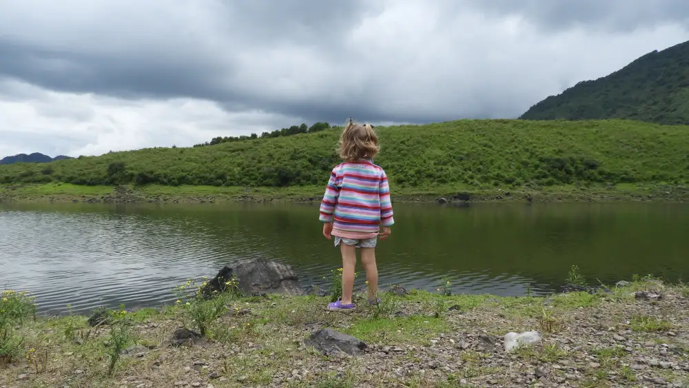 Delfi Laguna de Yala