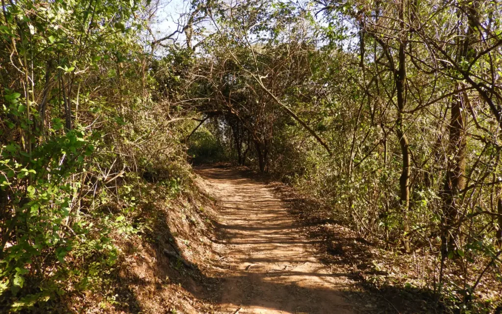 Sendero del Parque Botánico de Jujuy